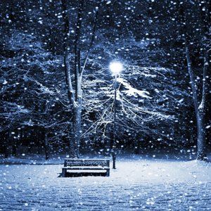 Meet your Posher, Nori